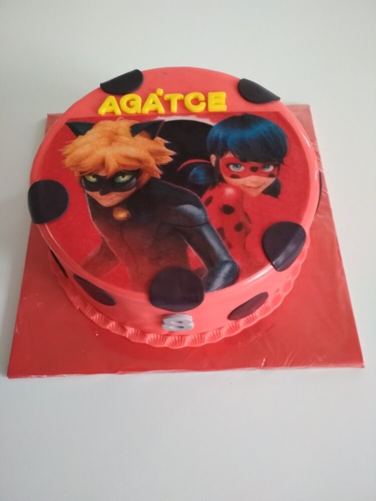 Beruška a černý kocour